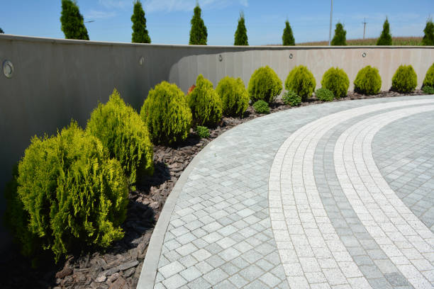 Best Local Driveway Pavers  in Lone Oak, TN